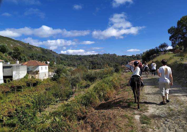 Esel wandern Portugal norden. Urlaub Portugal wandern und reisen mit Kindern, wanderung mit Kindern Serra de Arga Naturpark Portugal norden