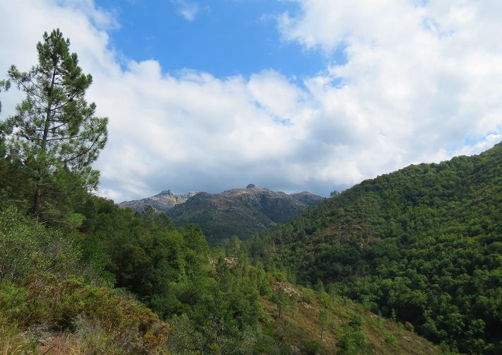 Gerês, la Forêt de Albergaria et la la voie romaine