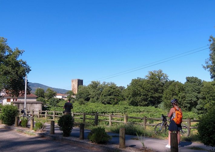 Cycling & Bike tours in North of Portugal alvarinho Wine Route, Monção. Discover portuguese countryside vineyards, castles, forts and wineries. Taste alvarinho vinho verde green wine