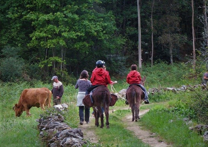 Randonnée pédestre en Chemins dans la nature, cascades et faune sauvage. Balade, randonnée avec âne Parc Naturel Serra de Arga Portugal. 