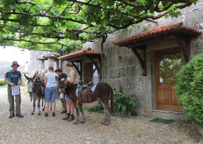 Portugal Randonnee avec âne Parc National de Peneda-Gerês avec un âne, Portugal Nord Minho. Les chevaux sauvages, le loups ibériques et villages traditionnels Lindoso Soajo 